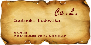 Csetneki Ludovika névjegykártya